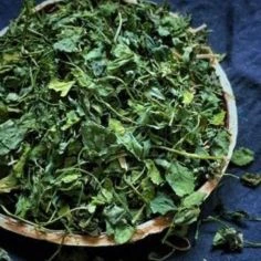 Fenugreek
