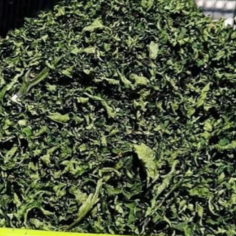 Gongura1