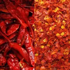 Red-Chilli (1)