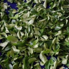 curry leaves
