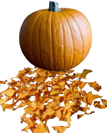 pumpkin4-removebg-preview